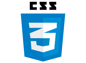 CSS3 Logo